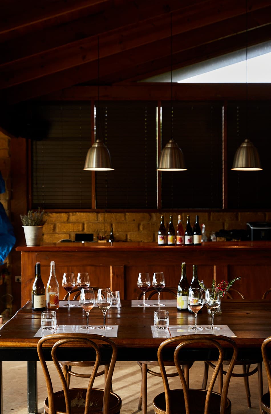 Avani Syrah