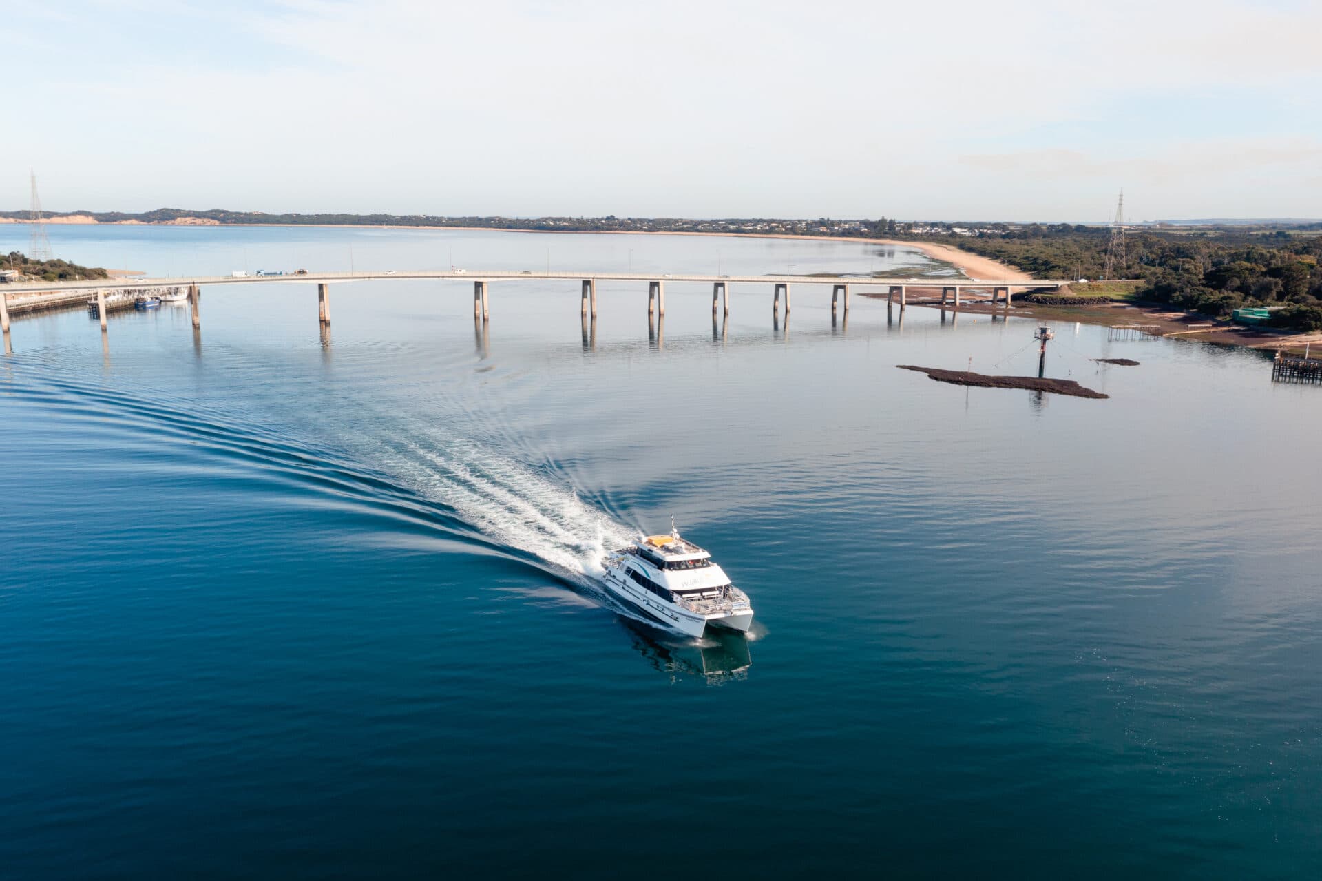 Wildlife Coast Cruises