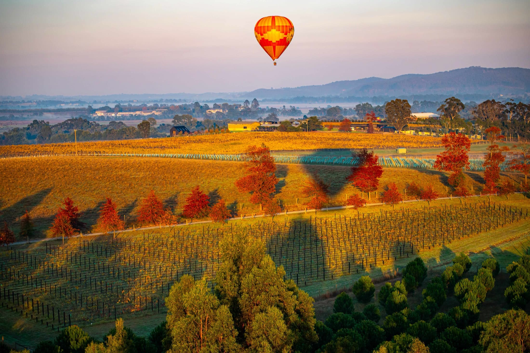 Yarra Valley