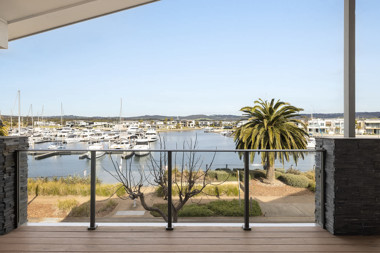 Yachts moored in a calm marina, seen from a balcony with a palm tree in the foreground
