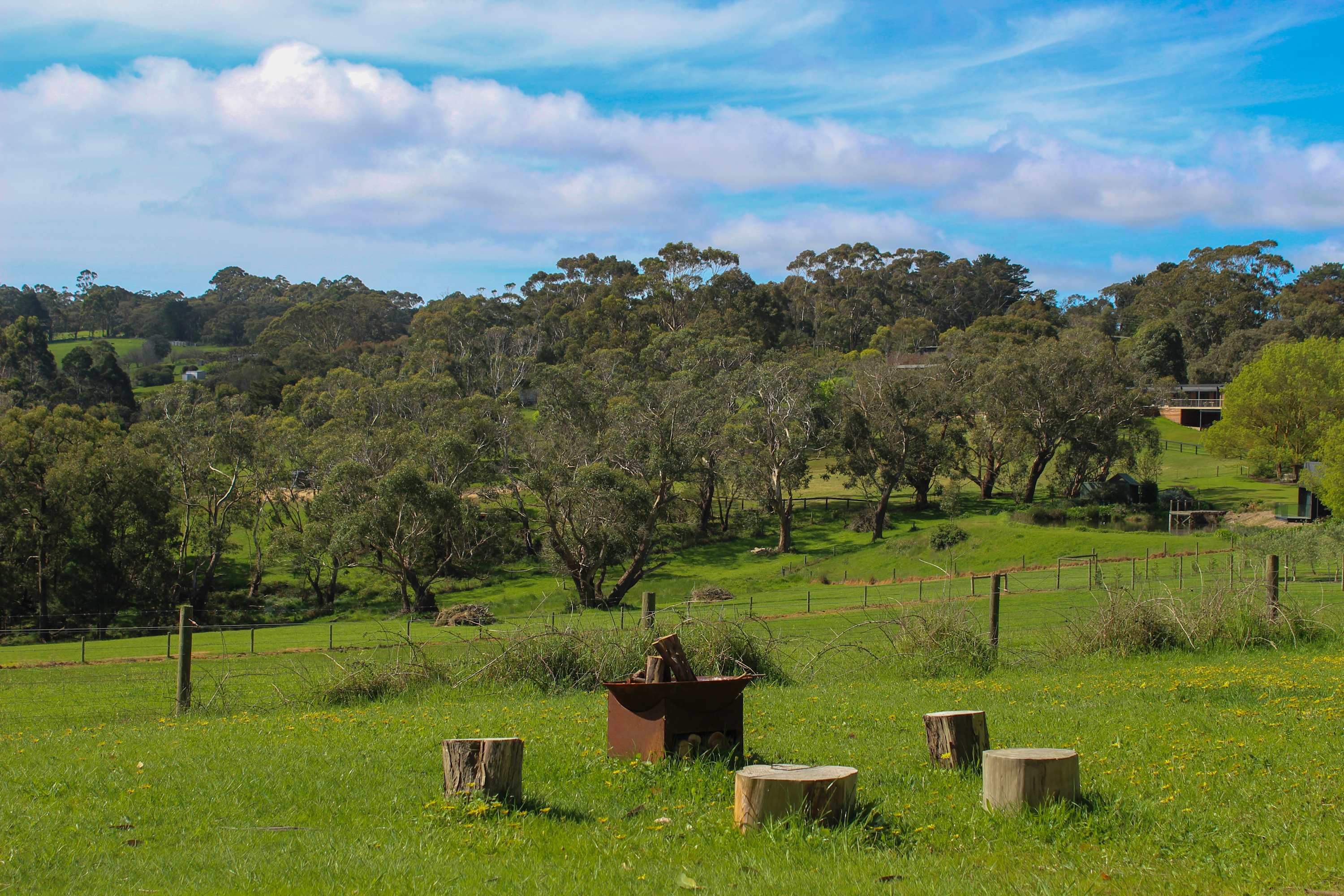 Green paddocks and old gum trees in the Main Ridge hills, with a fire pit and log seats in the foreground